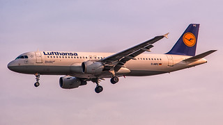 Photo of D-AIPC