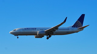 Photo of N87513
