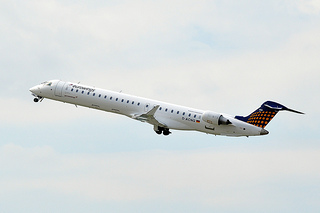 Photo of D-ACNQ