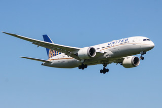 Photo of N45905